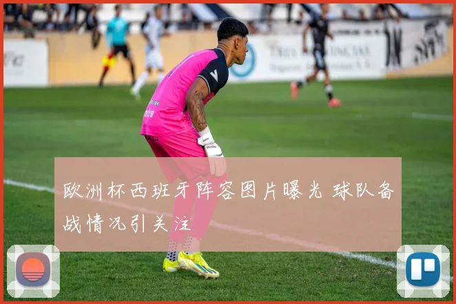 欧洲杯西班牙阵容图片曝光 球队备战情况引关注