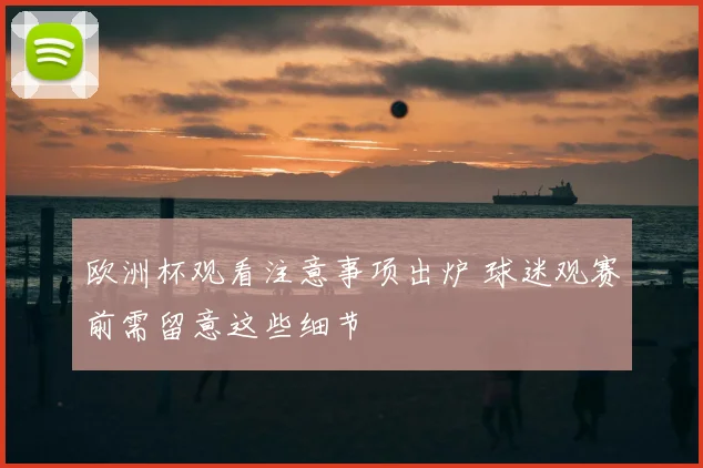 欧洲杯观看注意事项出炉 球迷观赛前需留意这些细节