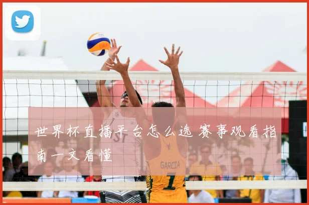 世界杯直播平台怎么选 赛事观看指南一文看懂