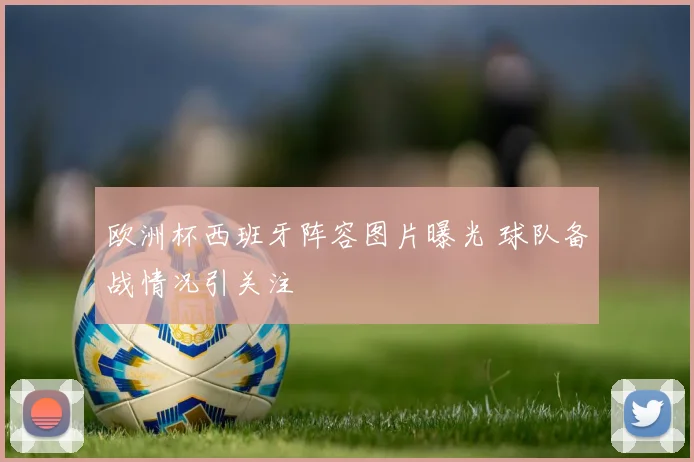 欧洲杯西班牙阵容图片曝光 球队备战情况引关注